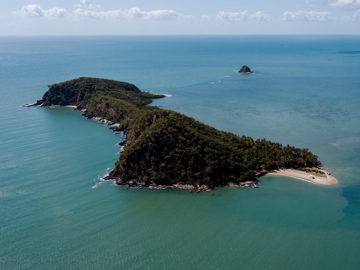 snapper island snapper island