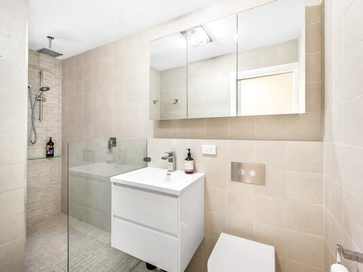 Toilet, vanity, panelled mirror, shower