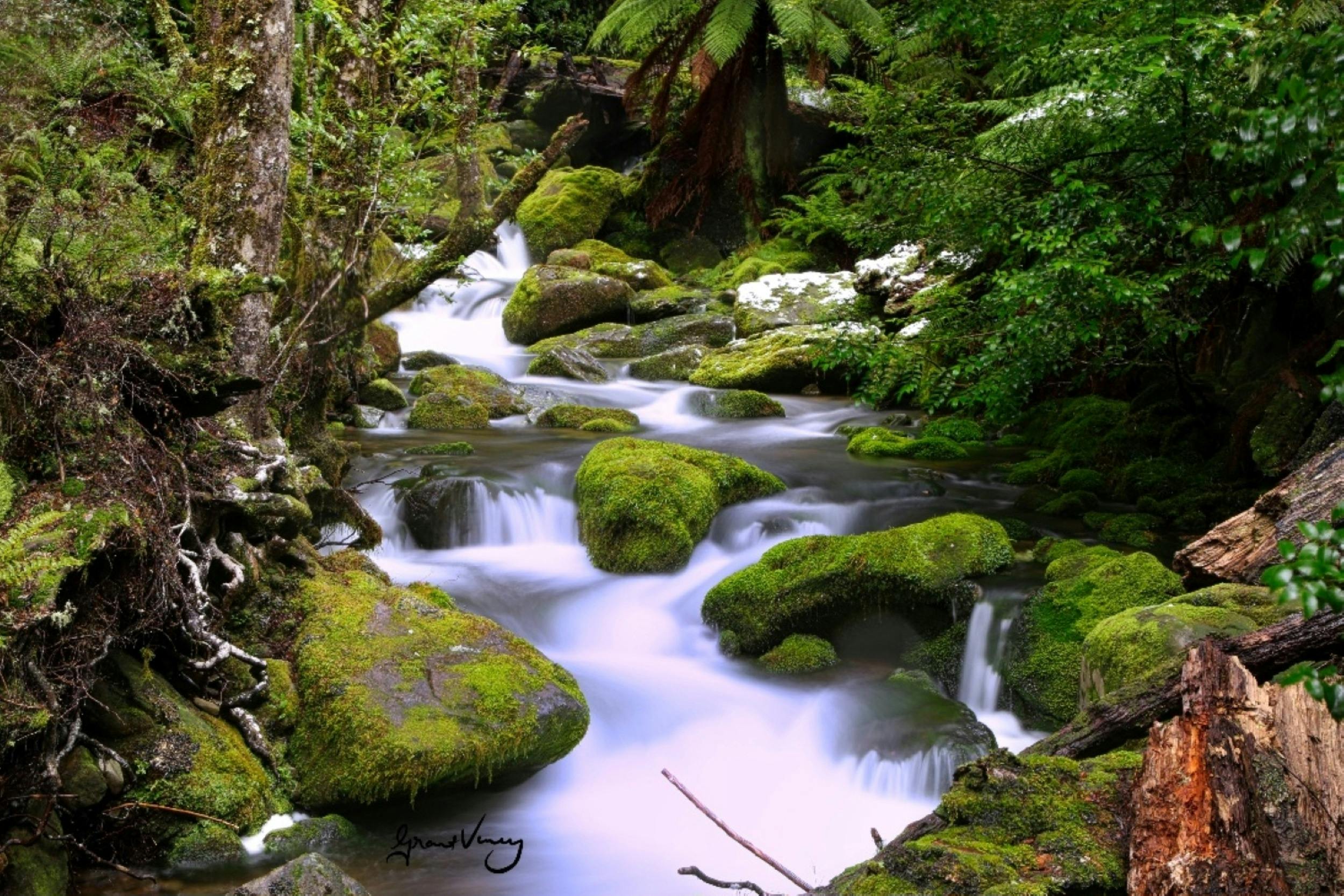 The Bastion Cascades