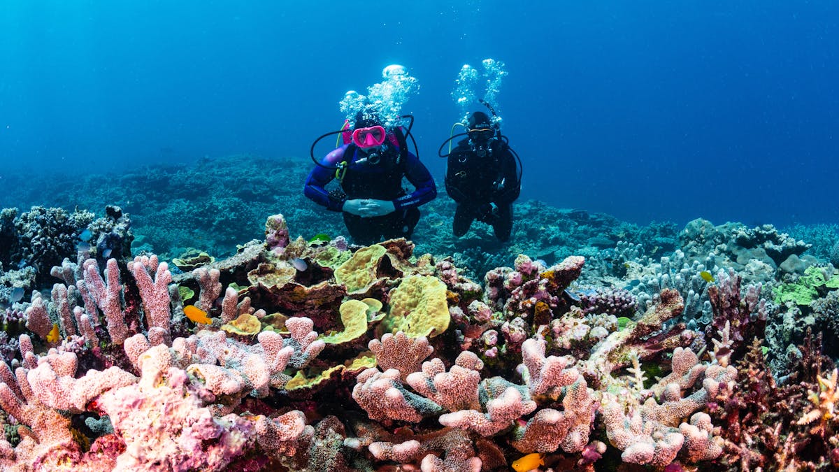 Two divers exploring the Southern Great Barrier Reef
