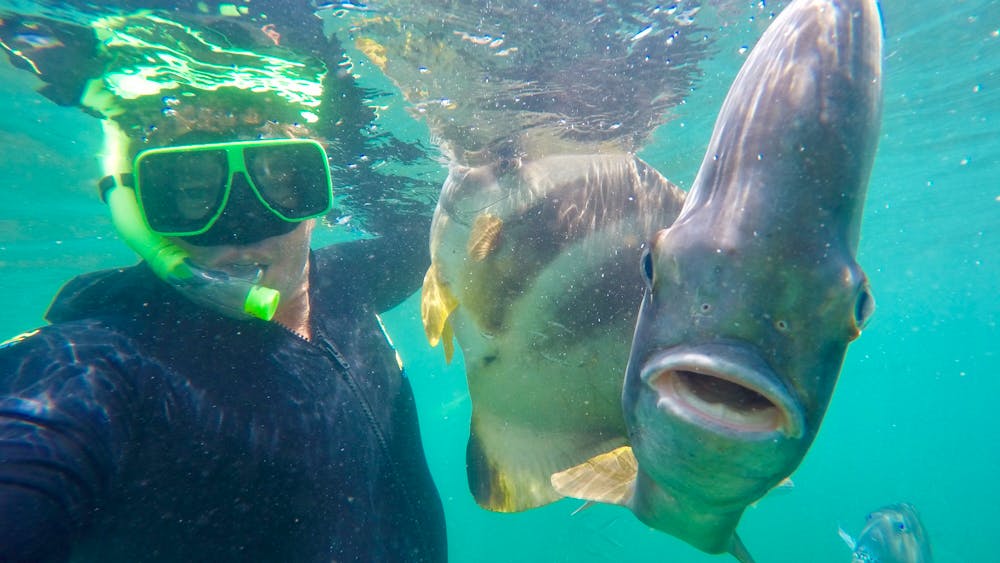 Aquascene Magnetic Island