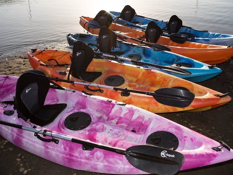 Boat Bike And Paddle Hire Nsw Holidays Amp Accommodation