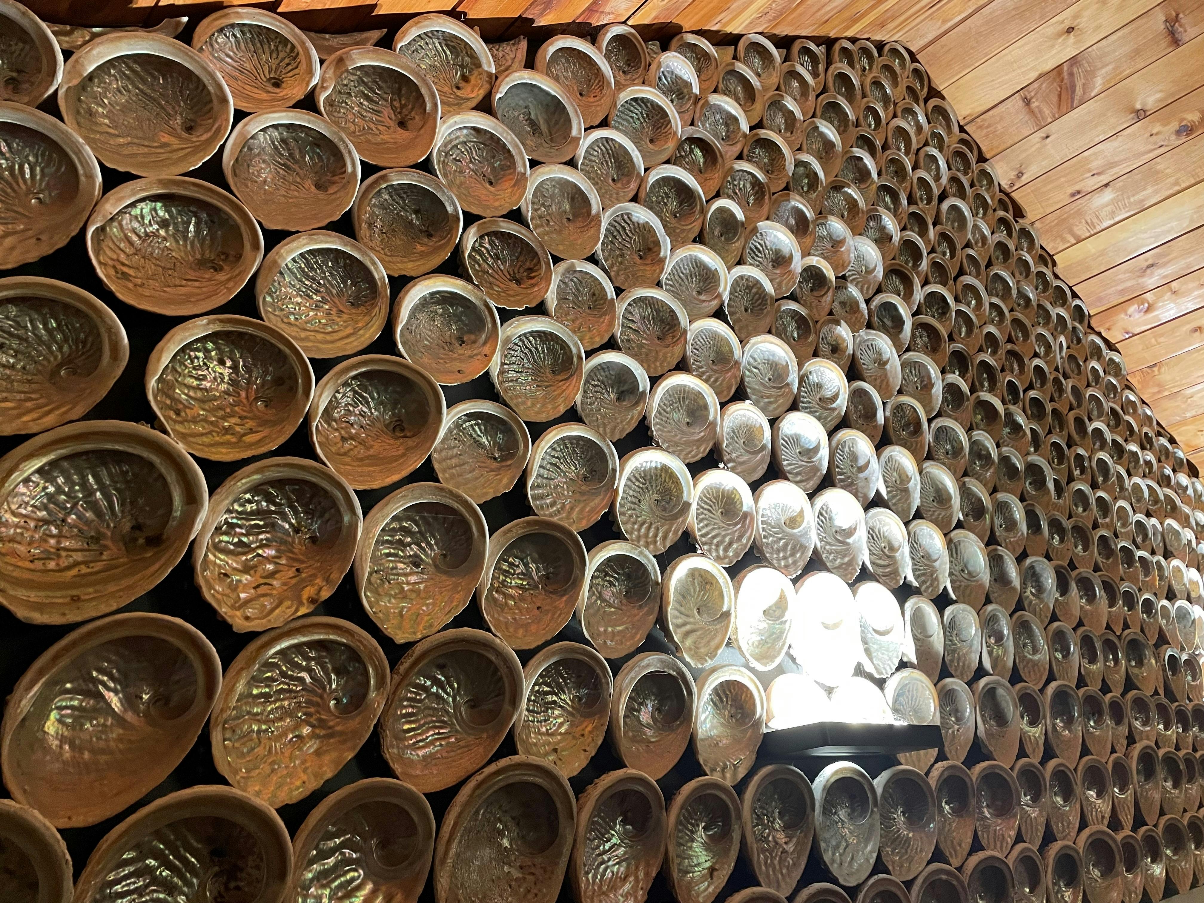 Abalone Shell Wall