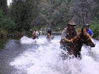 Horse riding along the Howqua River