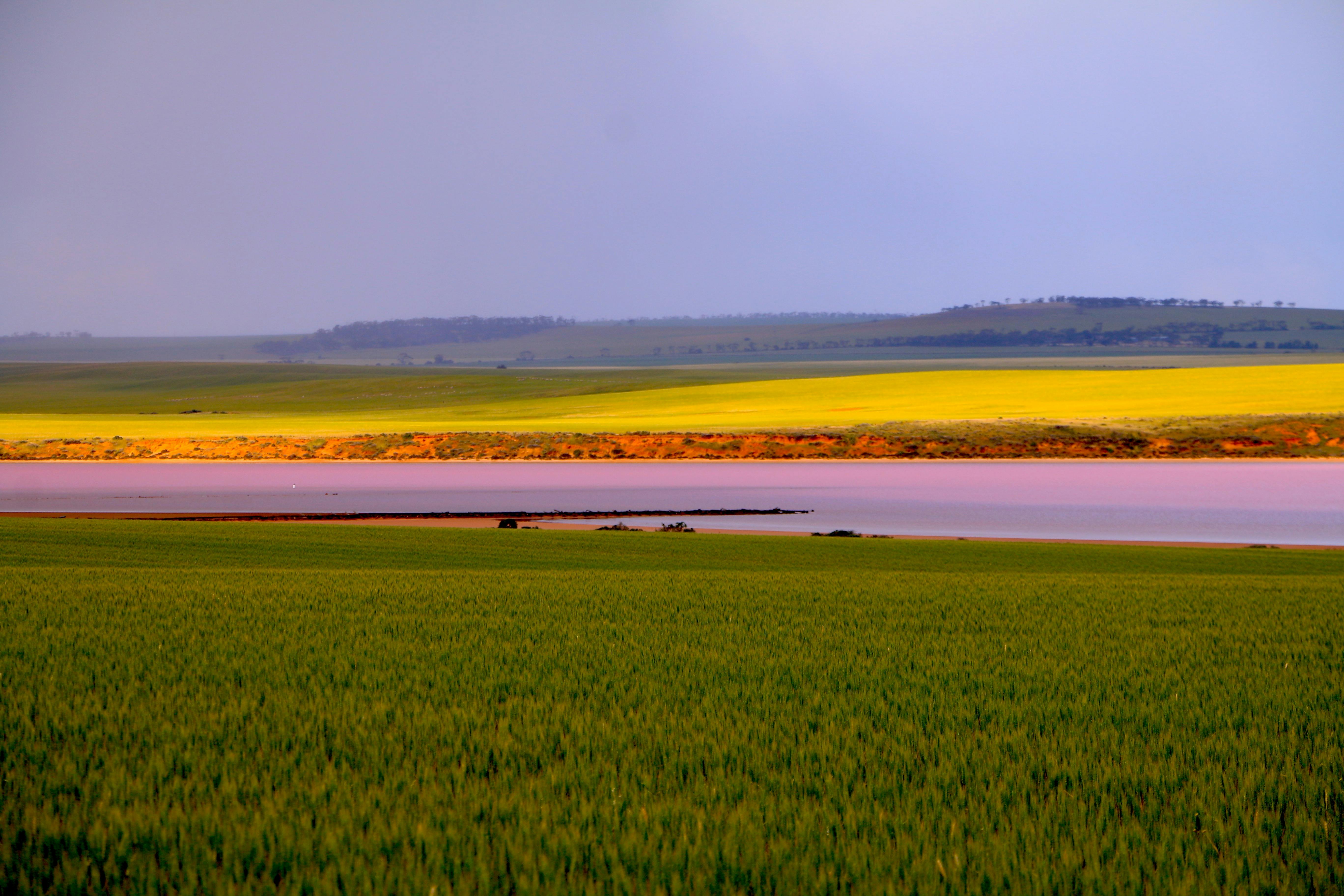 pinjk lake, lake bumbunga