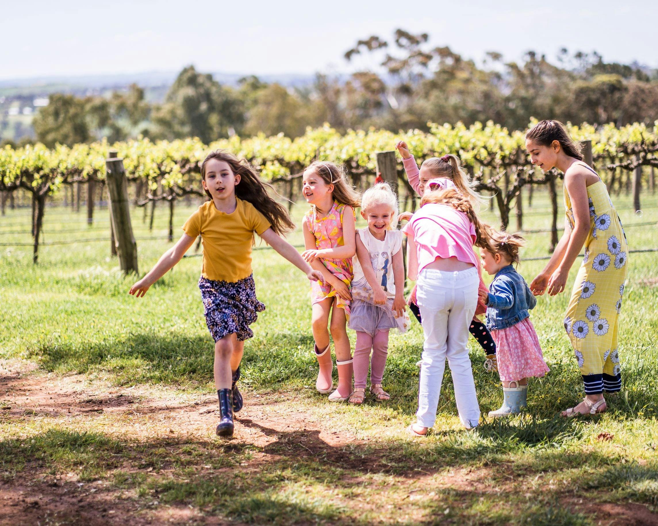 Paisley Footprints Family Farm and Vineyard Experience Barossa