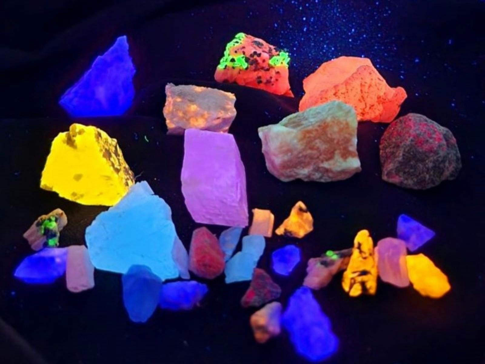 Glowscape School Holiday Program