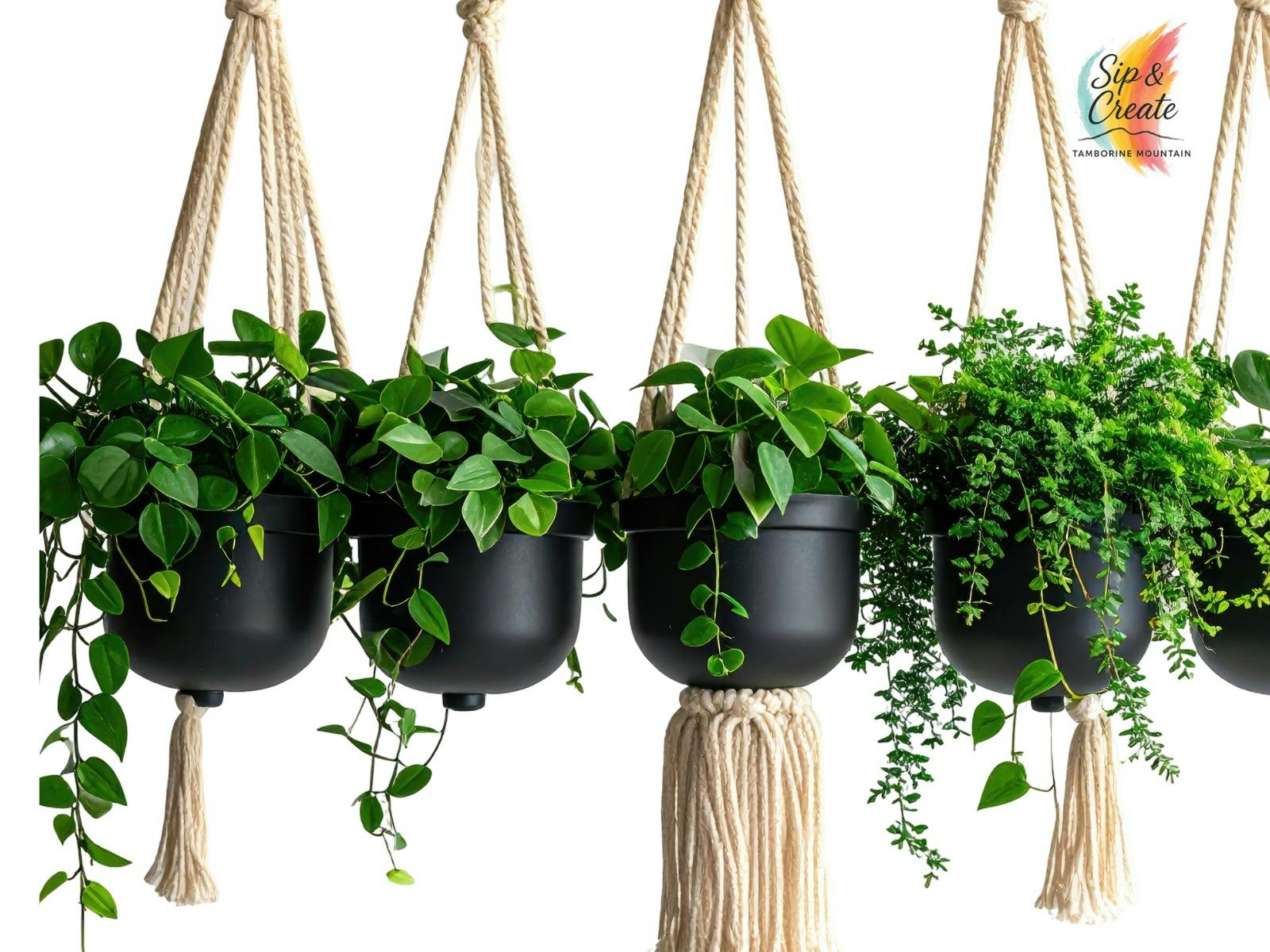 Sip & Create Tamborine Mountain