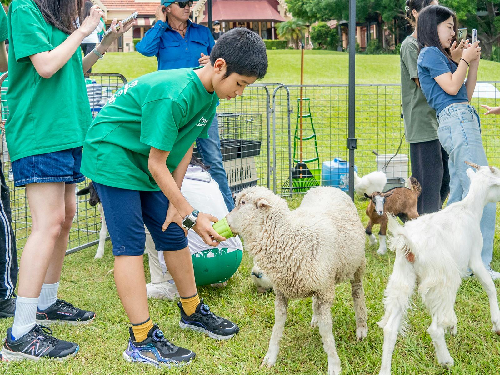 On Campus Petting Zoo Activity
