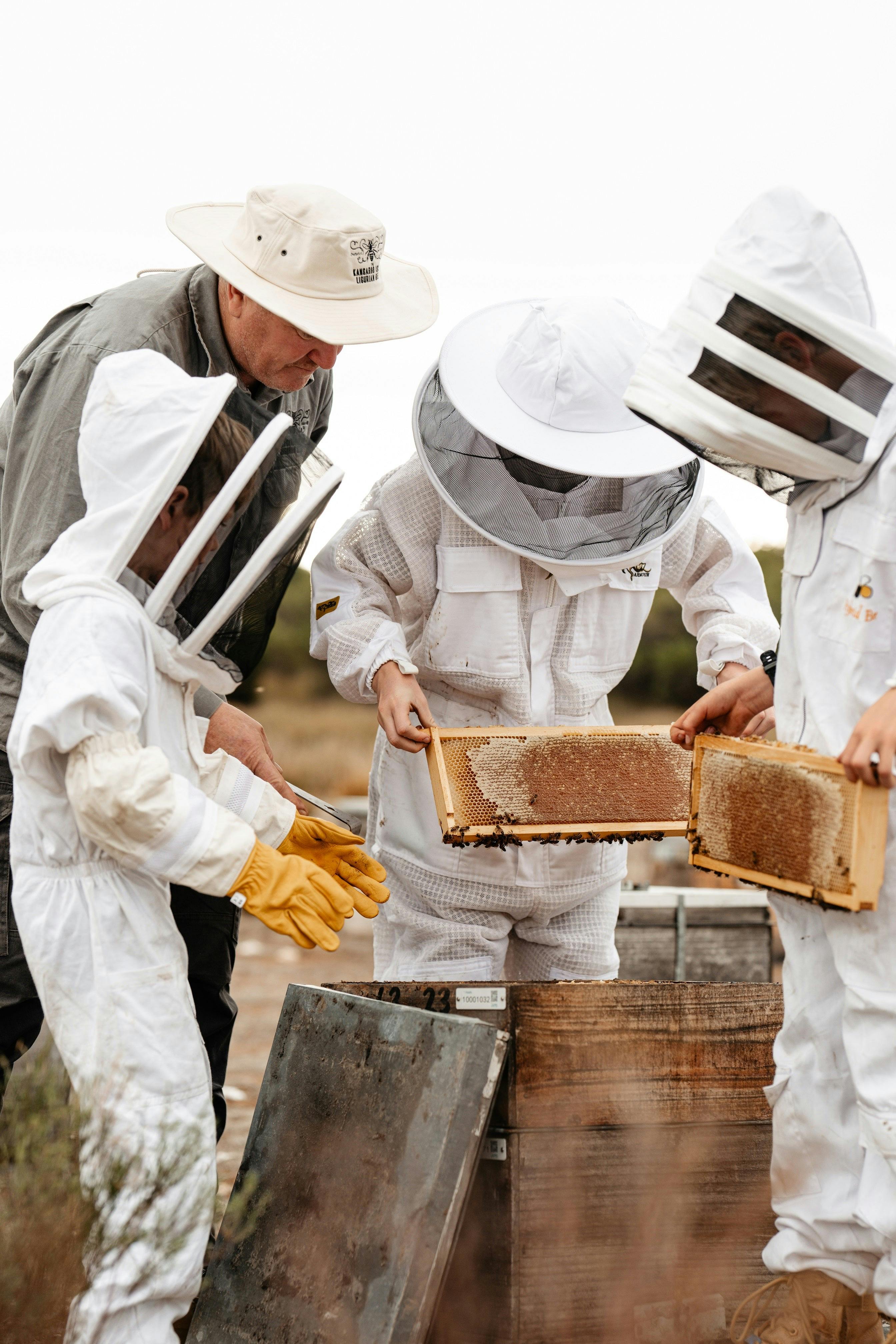 Day In The Life Of A Beekeeper