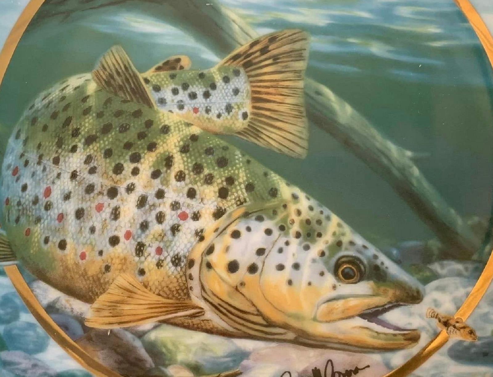 Guyra Trout