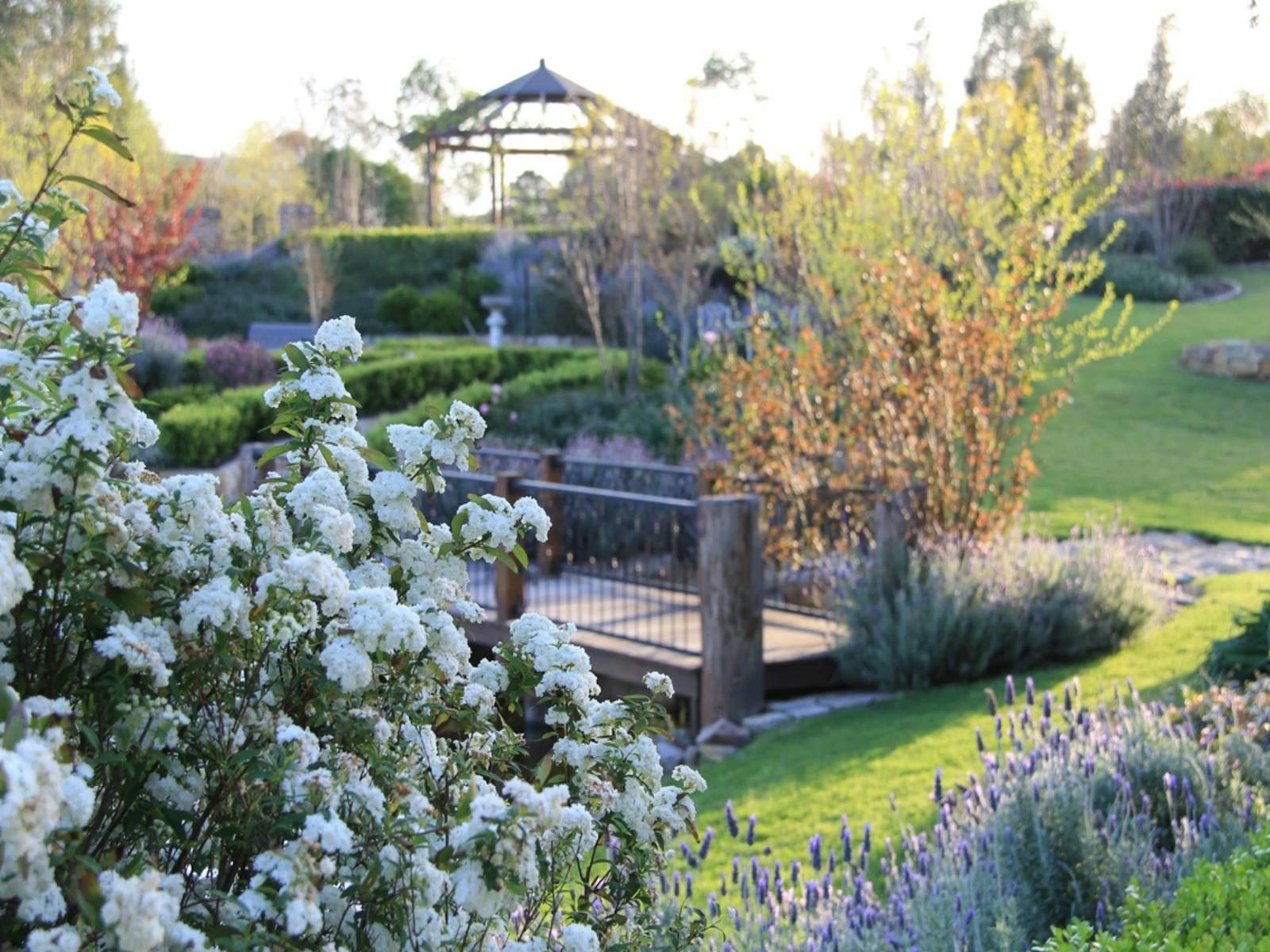 Image for The Bath House Garden Open Day