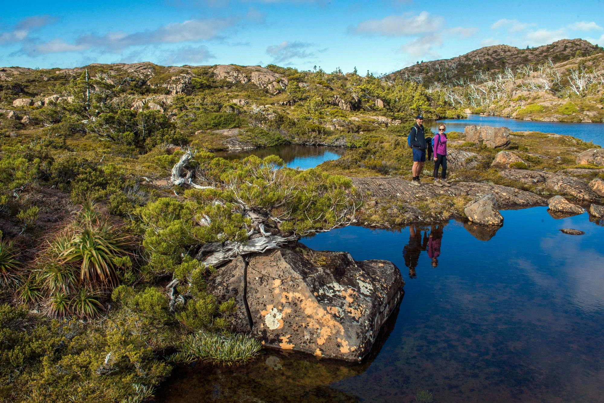 Tarn Shelf Nature and wildlife Discover Tasmania