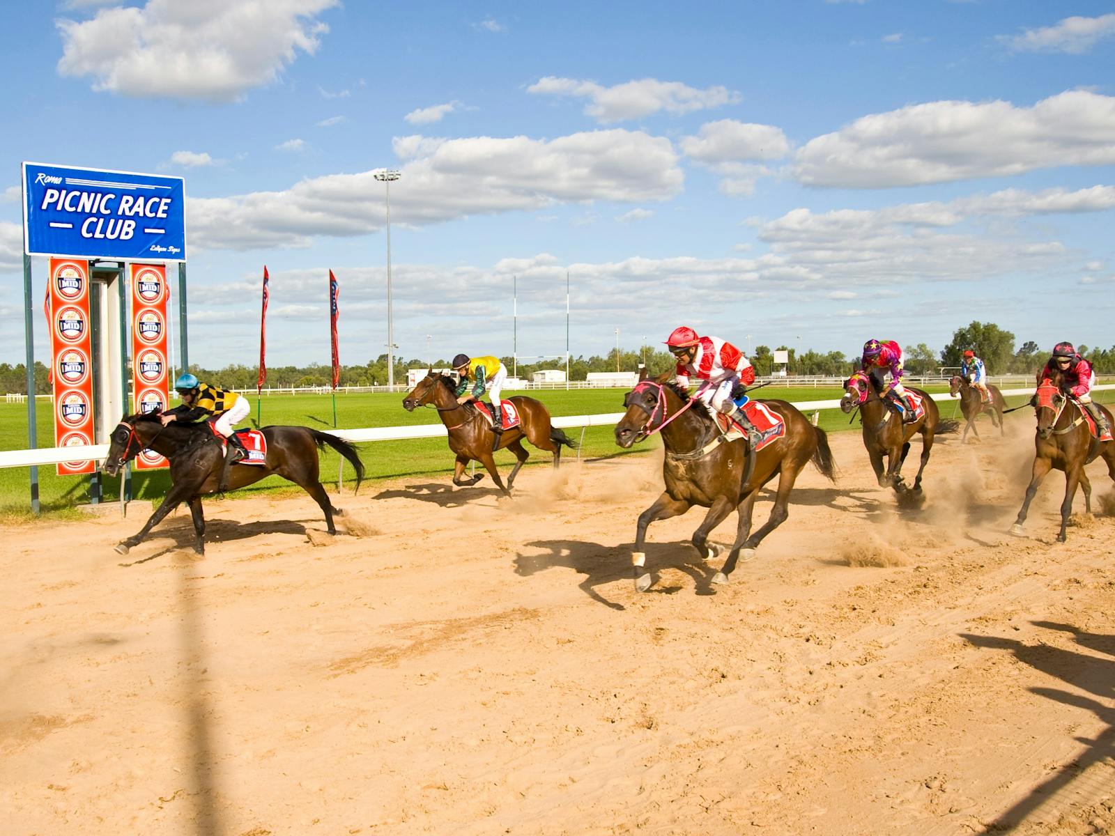 Image for Roma Picnic Races