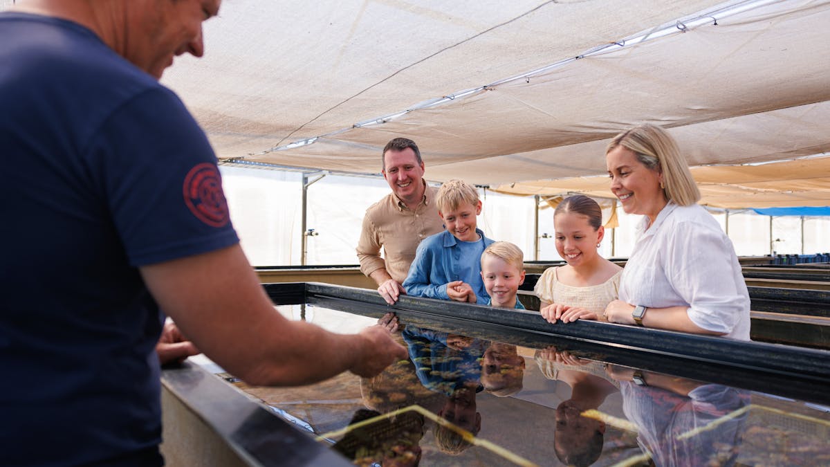 Your Monsoon Aquatics guide will show you corals growing in sunlight conditions