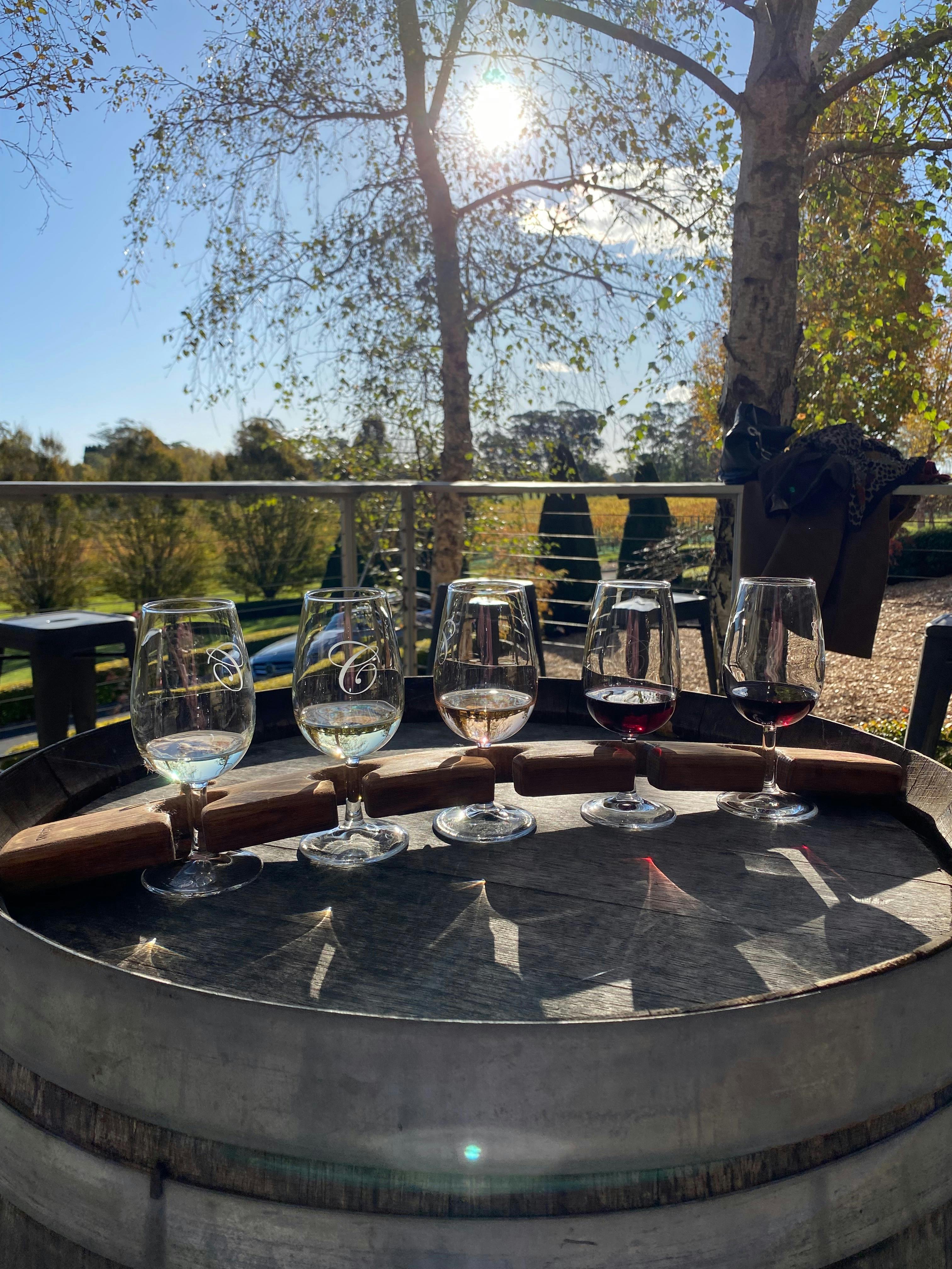 Wine Paddle at Centennial Vineyards,  Vino Rosso Tours