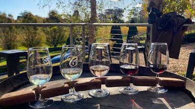 Wine Paddle at Centennial Vineyards, Vino Rosso Tours
