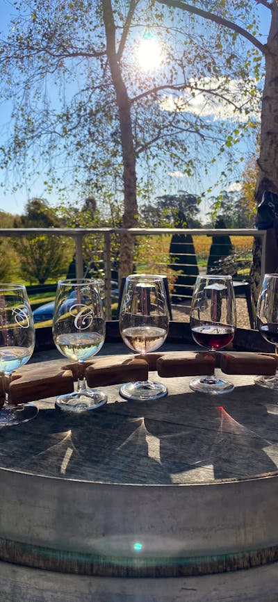 Wine Paddle at Centennial Vineyards, Vino Rosso Tours