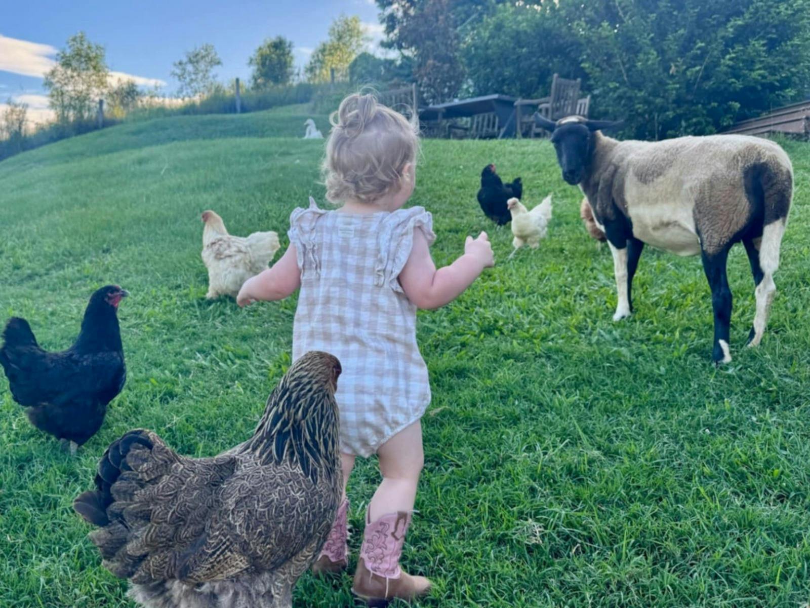 Hinterland Hideaway FarmStay