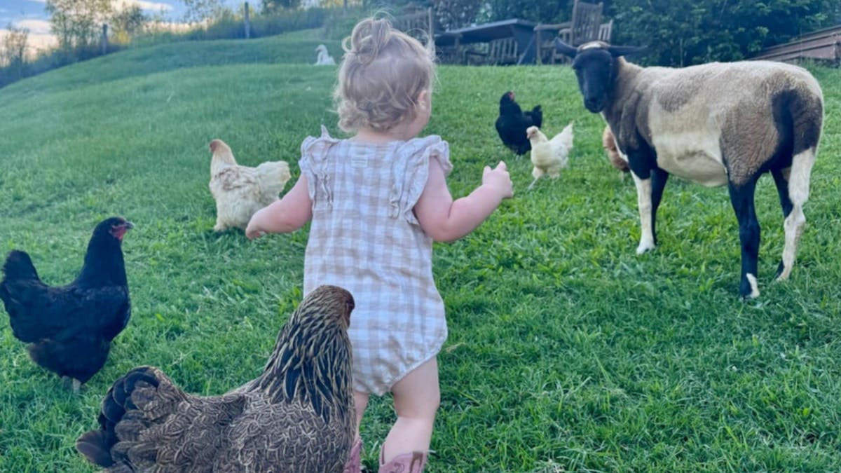 Hinterland Hideaway Farmstay Wilsons Pocket