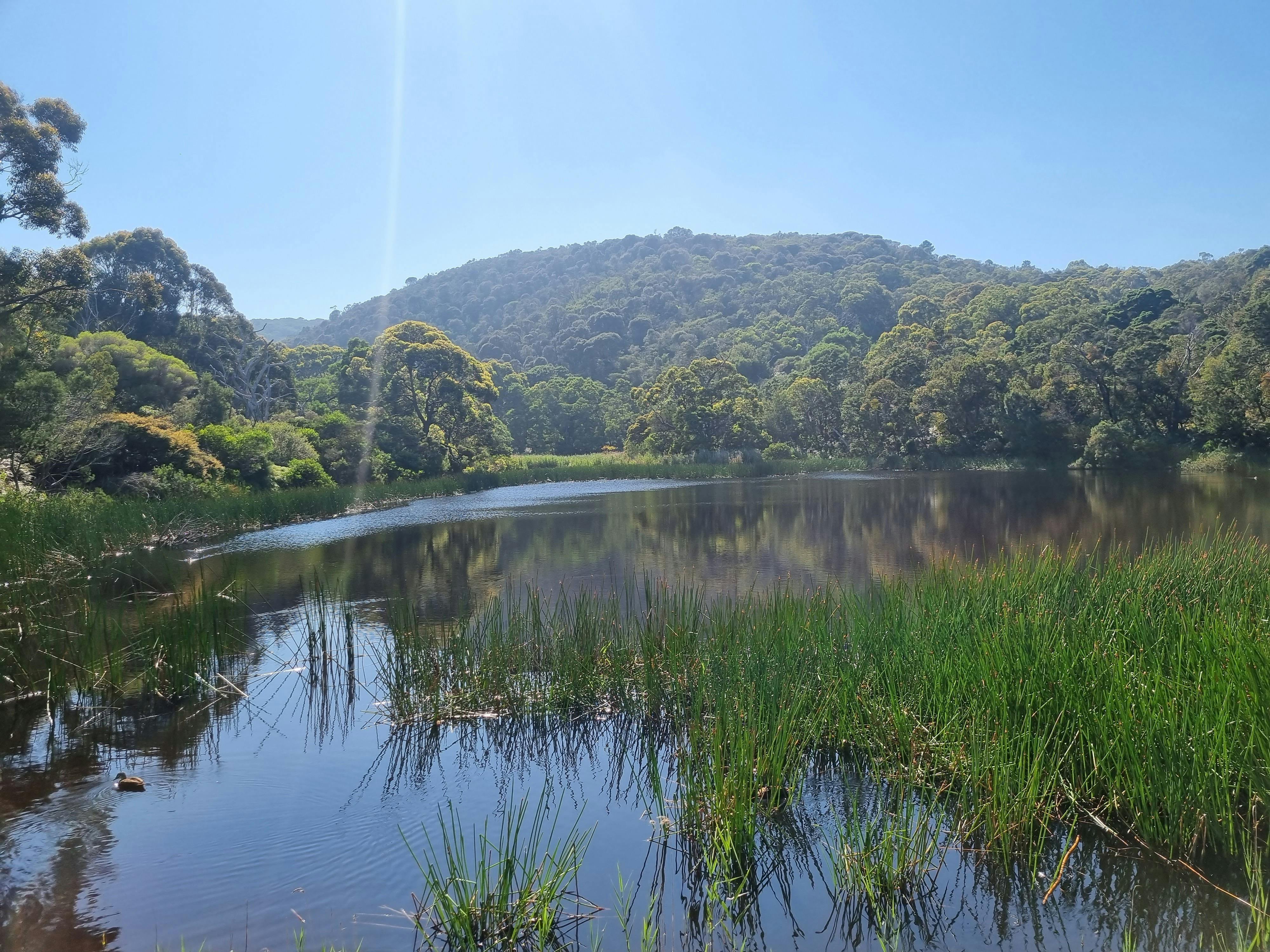 The Mclaren dam sits at the end of our Arthurs seat walk beneath kings Falls.