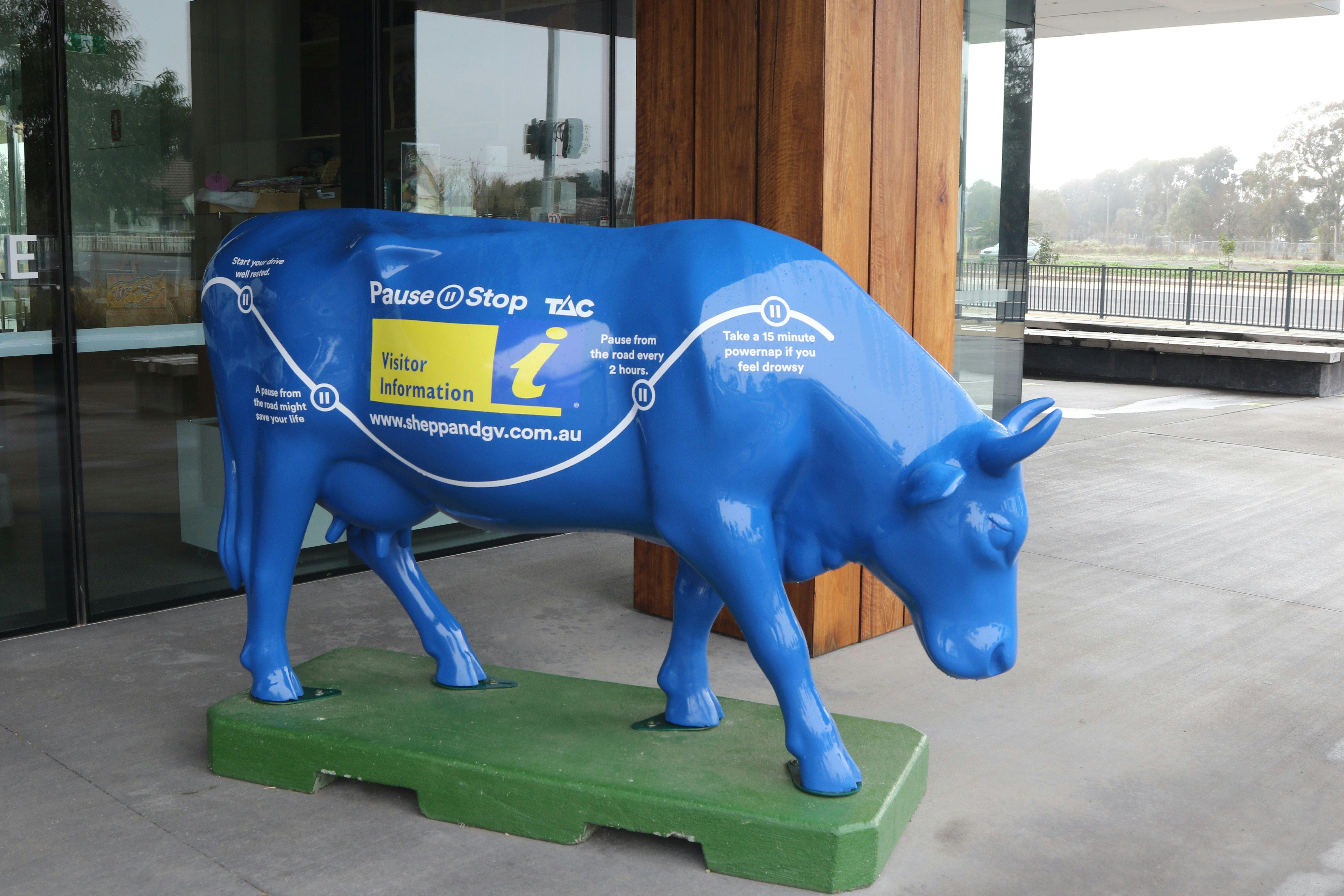 Shepparton & Goulburn Valley's Moooving Art Cows