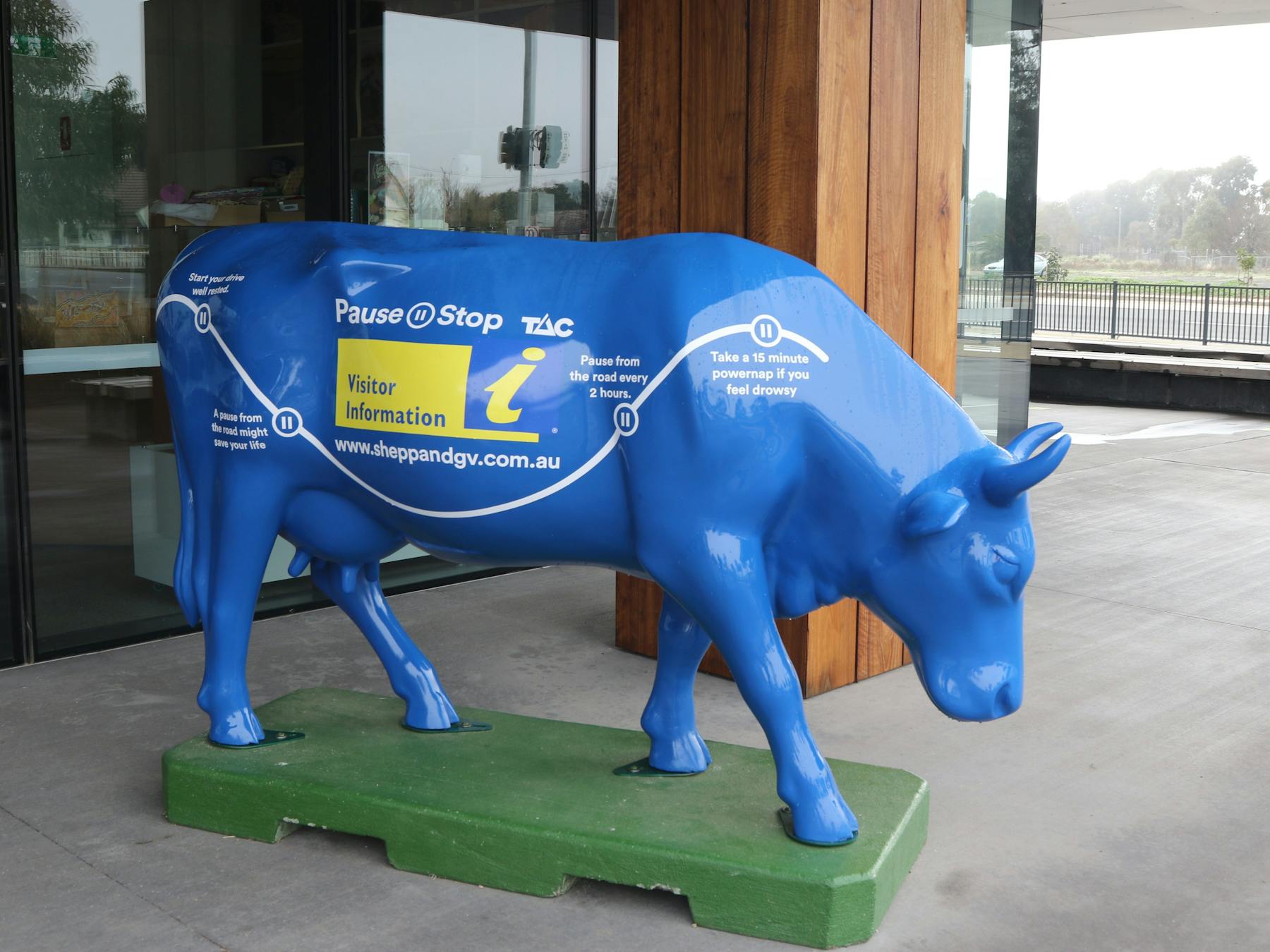 Shepparton & Goulburn Valley's Moooving Art Cows