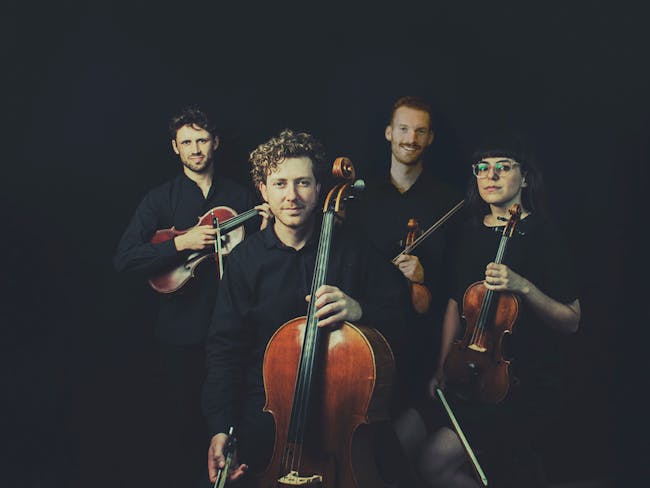 Four musicians, dressed in black, holding string instruments