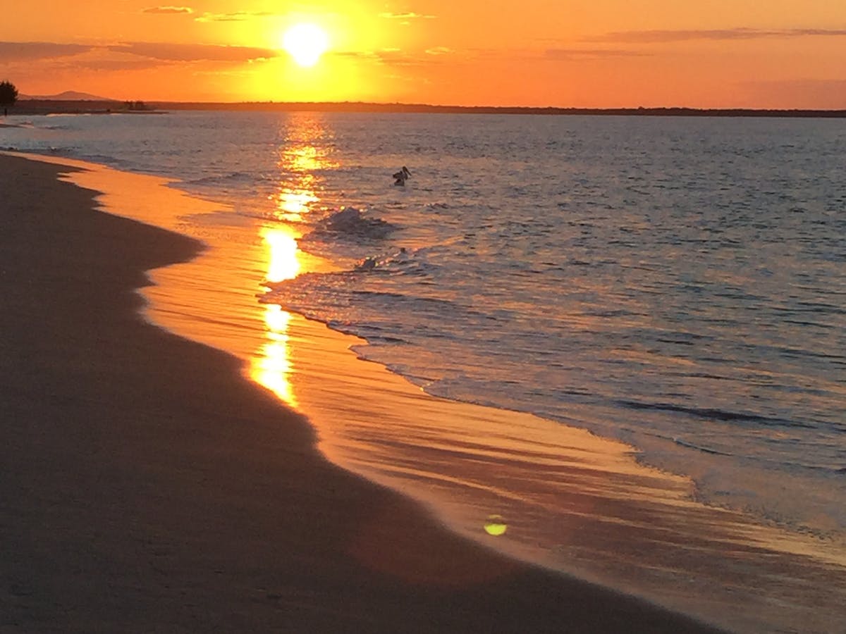 Sunsetting at Inskip Point with a pelican in the water
