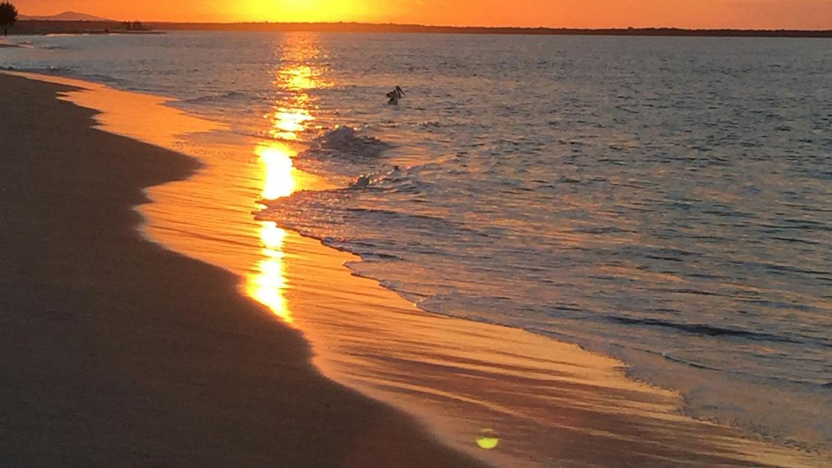 Inskip Point | Attractions | Queensland