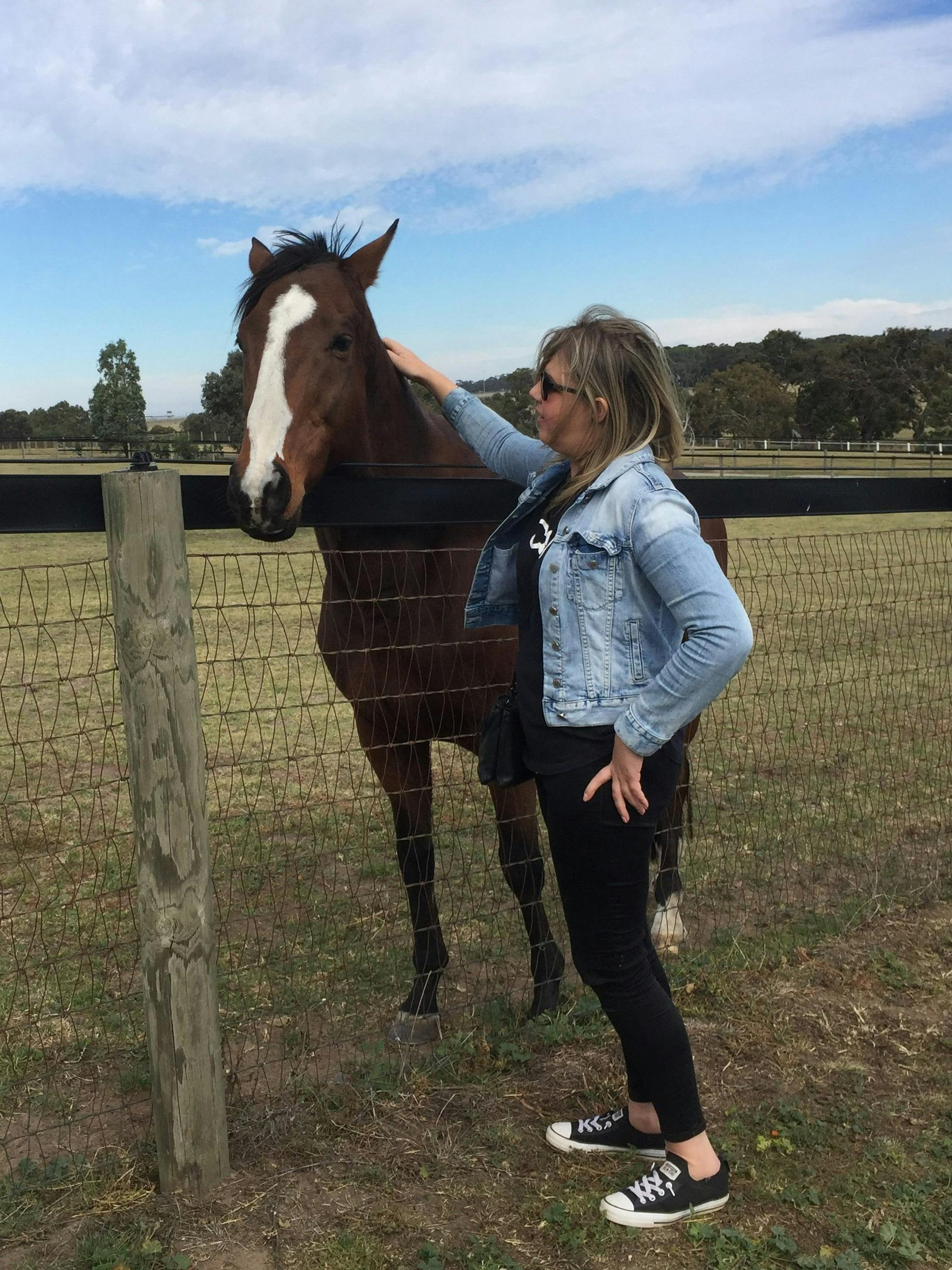 People patting and feeding racehorses