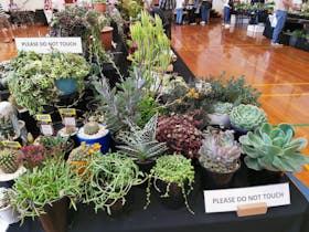 Annual Cactus and Succulent Exhibition and Sales Cover Image