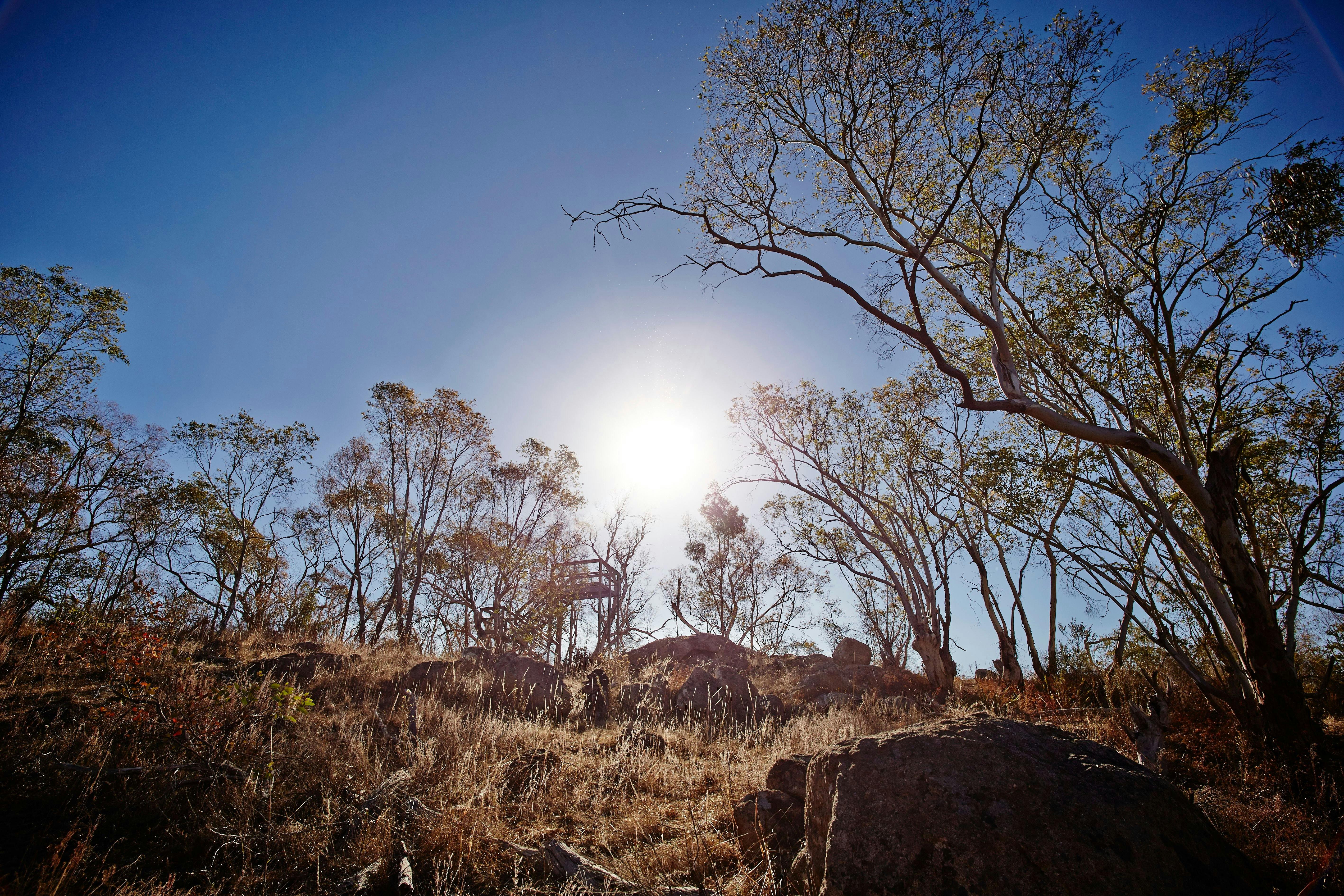 grass, rocks, trees on a hill, sunlight with lookout town in the distance