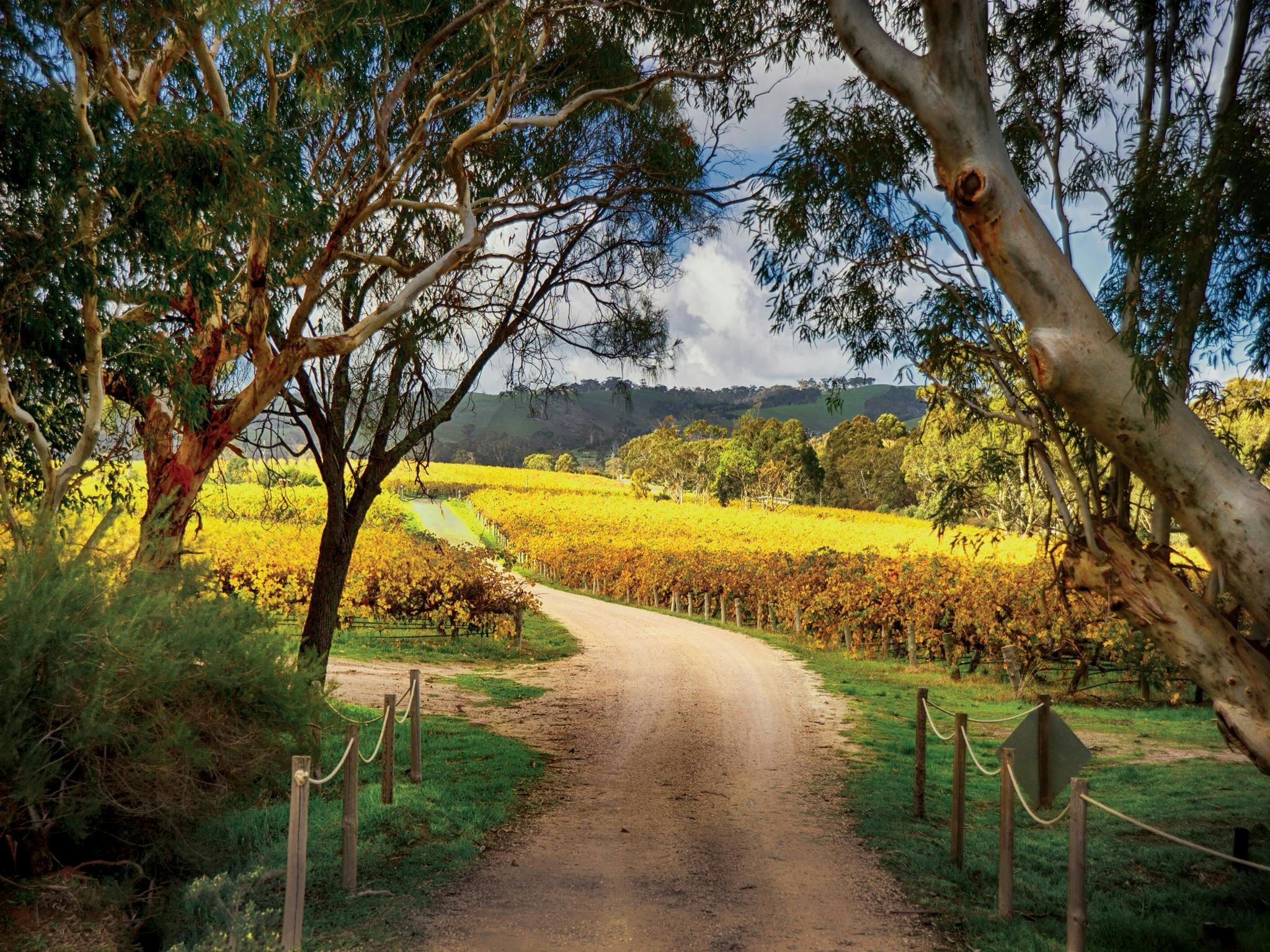 McLaren Vale Winery