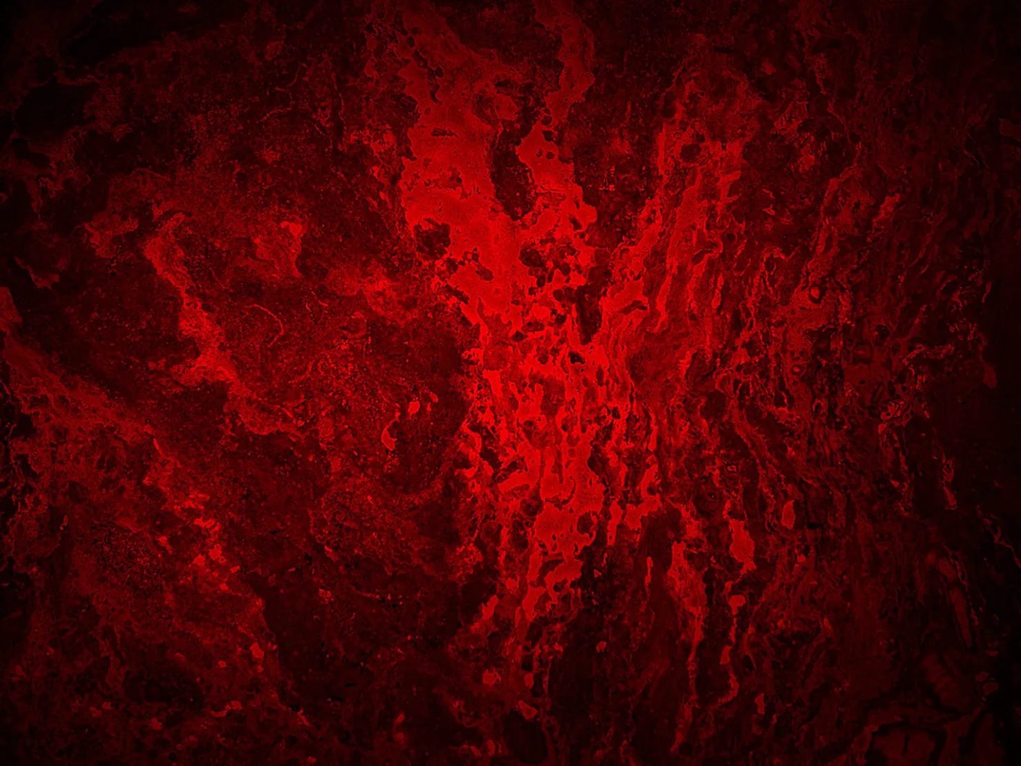 Red Blood background