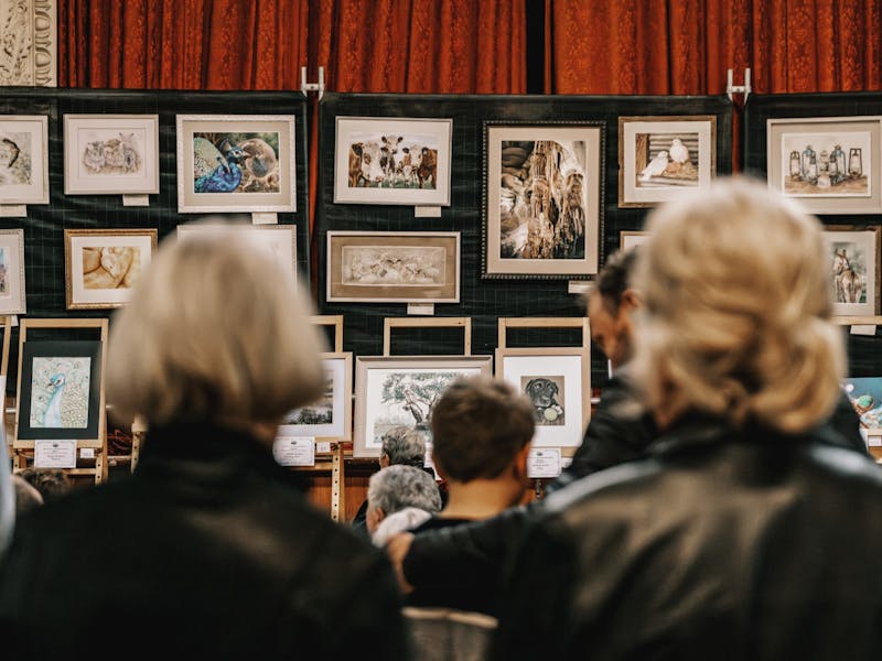 Image for Coleraine Art and Photography Show