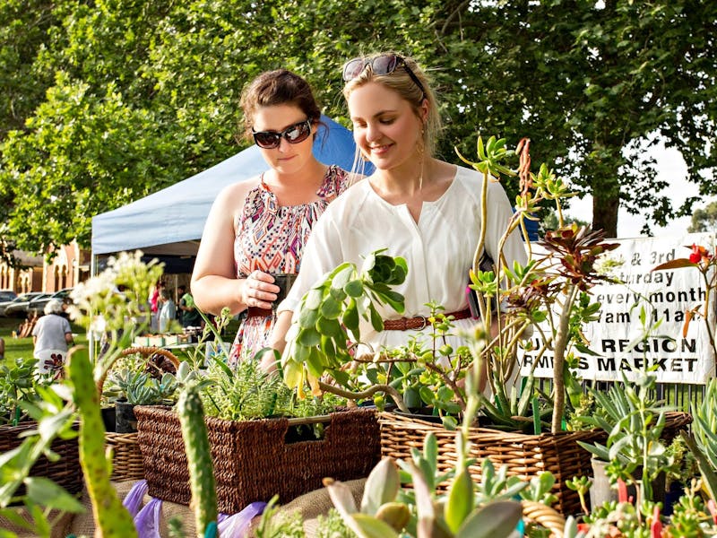 Image for Young & Region Farmers Market