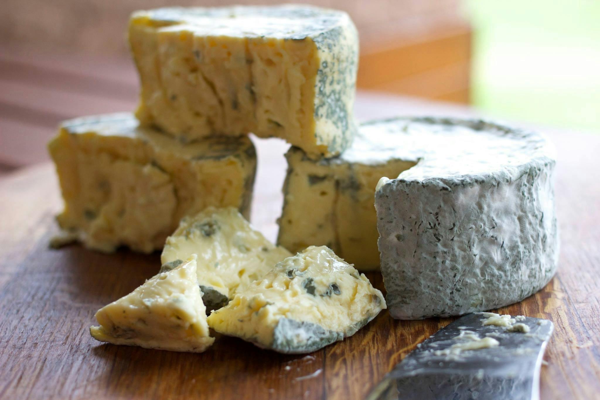 rind in tacked