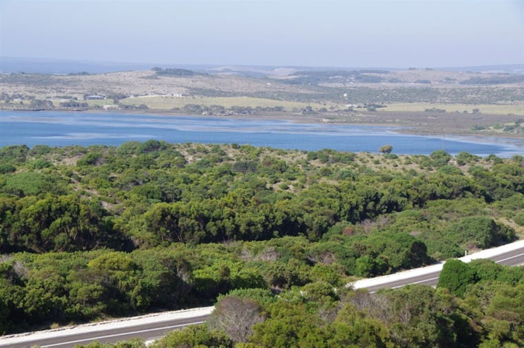 Pelican Lagoon