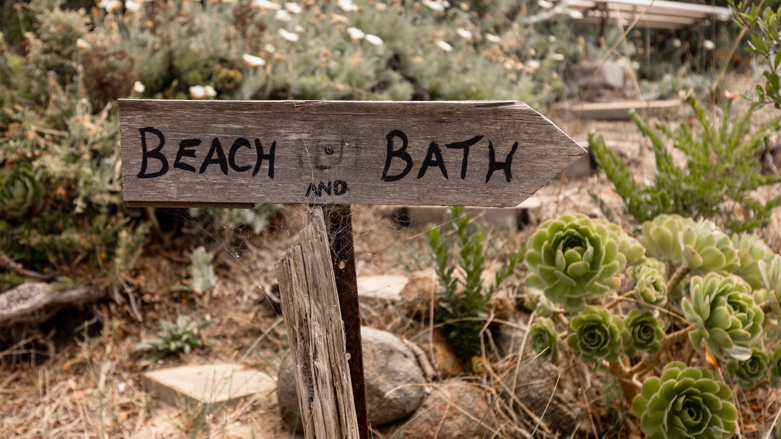 Everything you need at a beach shack