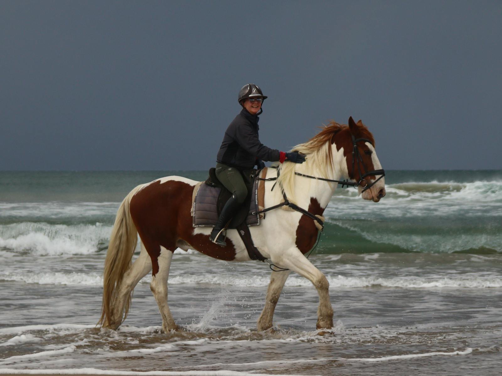 A Regal Riding School trail ride at Shoalhaven Heads.