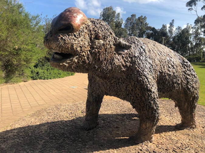 MegaFest Naracoorte World Heritage Trail Run