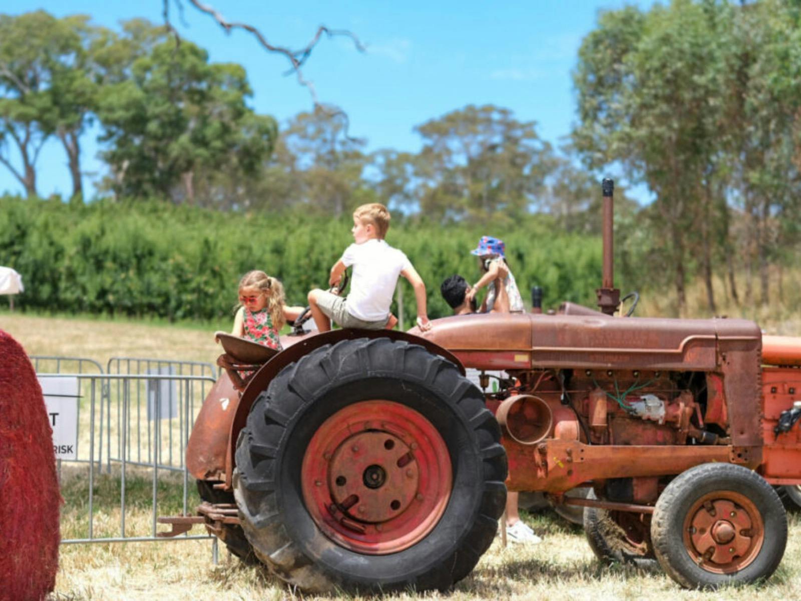 Tractors at Birdwood