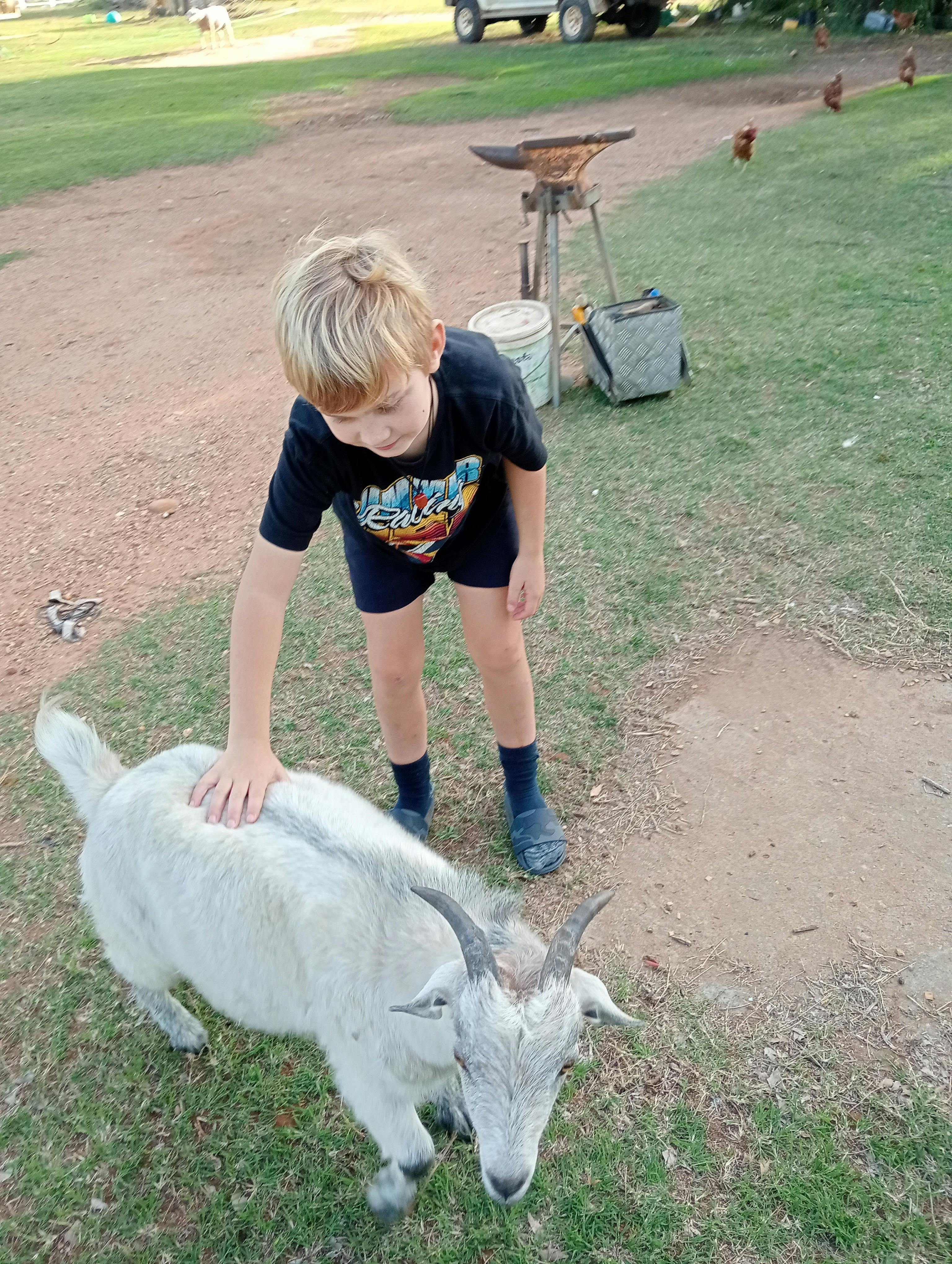 ふれあい動物園