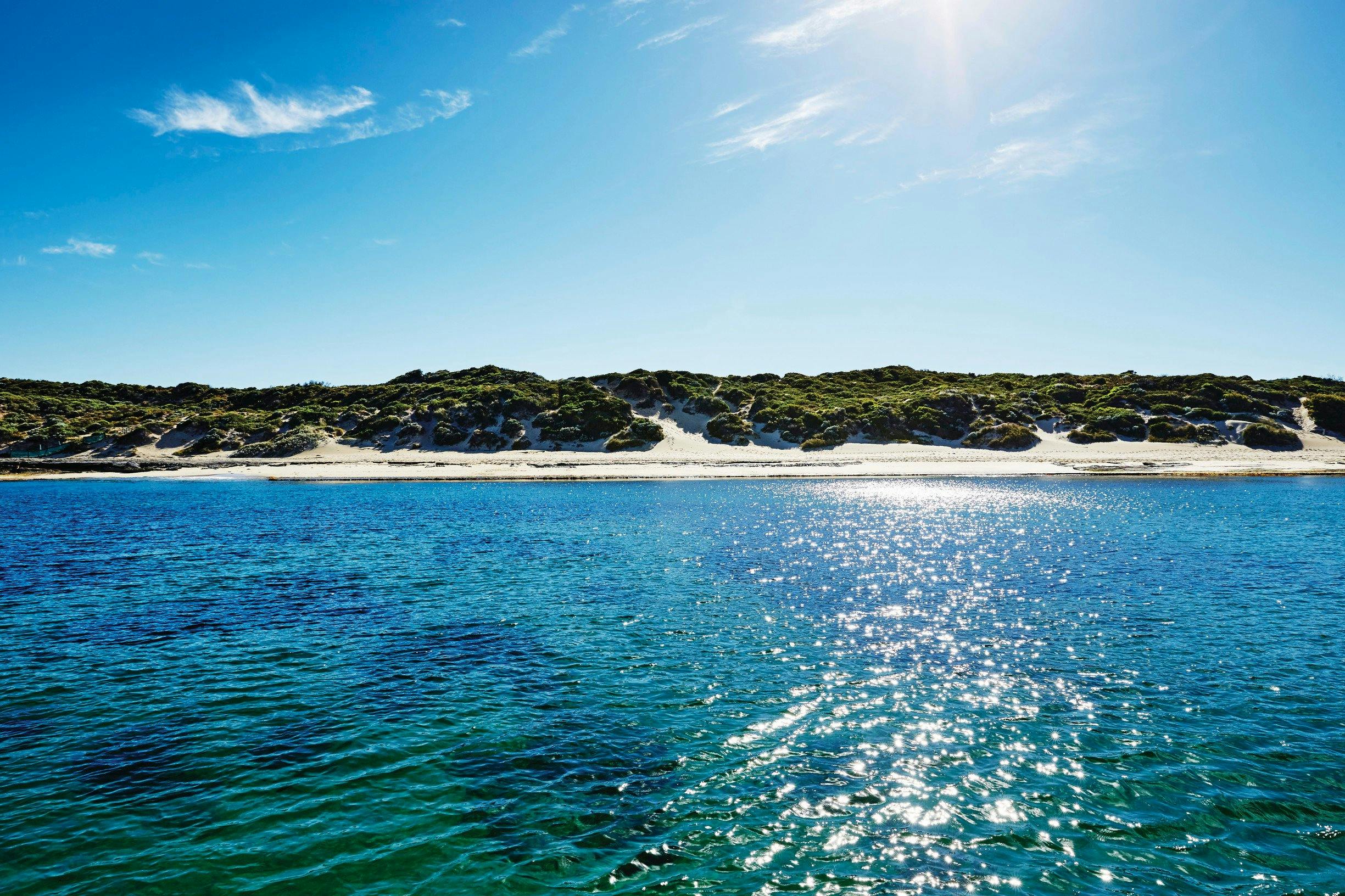 Djurandi Dreaming, Perth, Western Australia