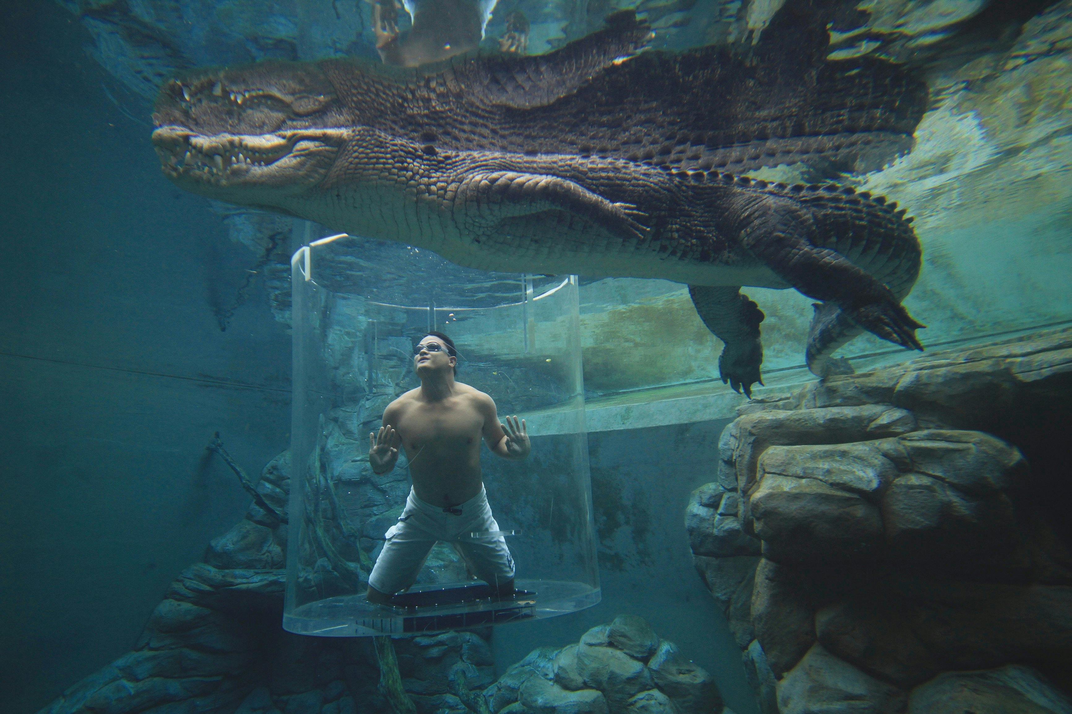 Crocosaurus Cove