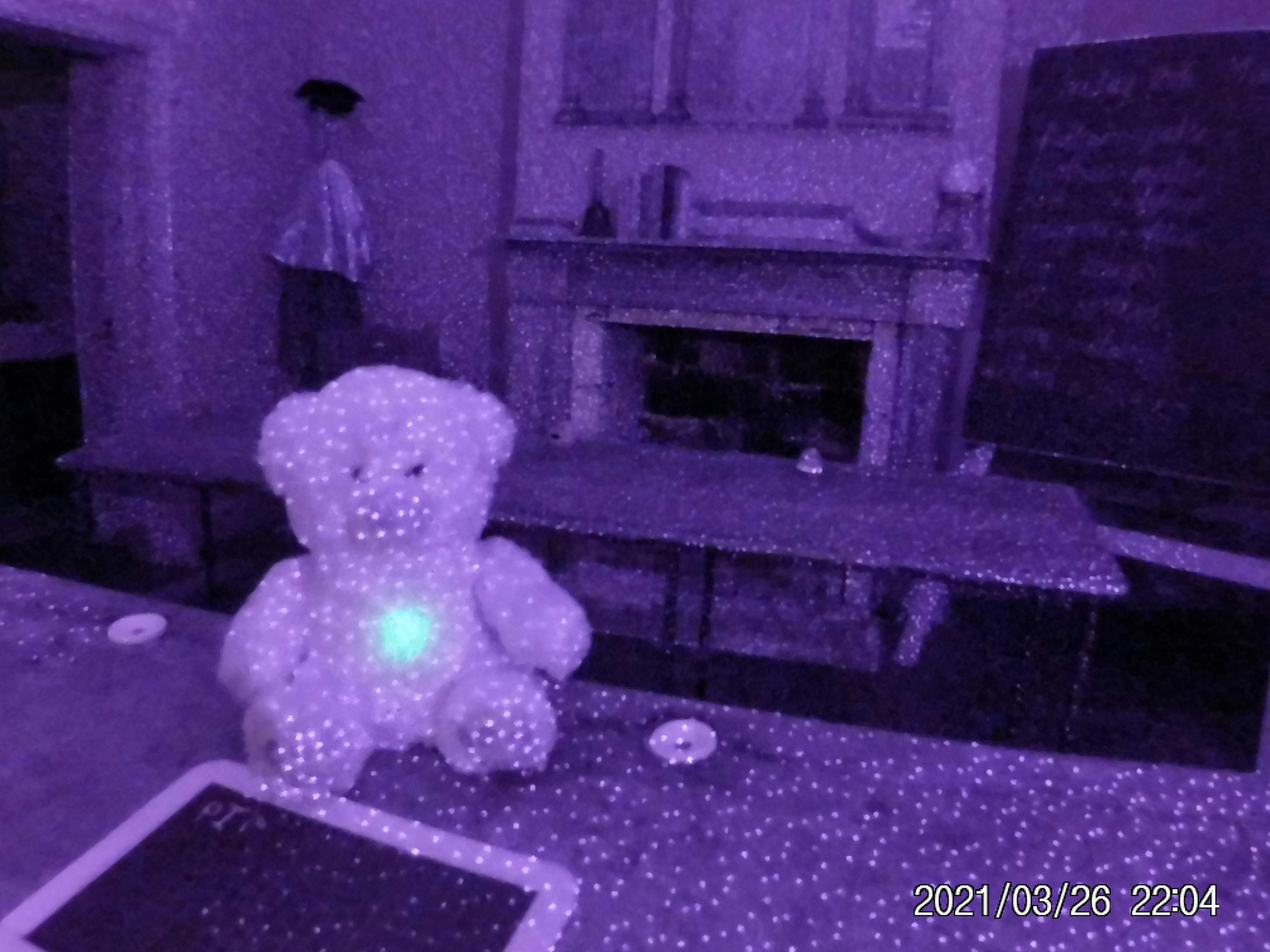 유령 사냥 장비