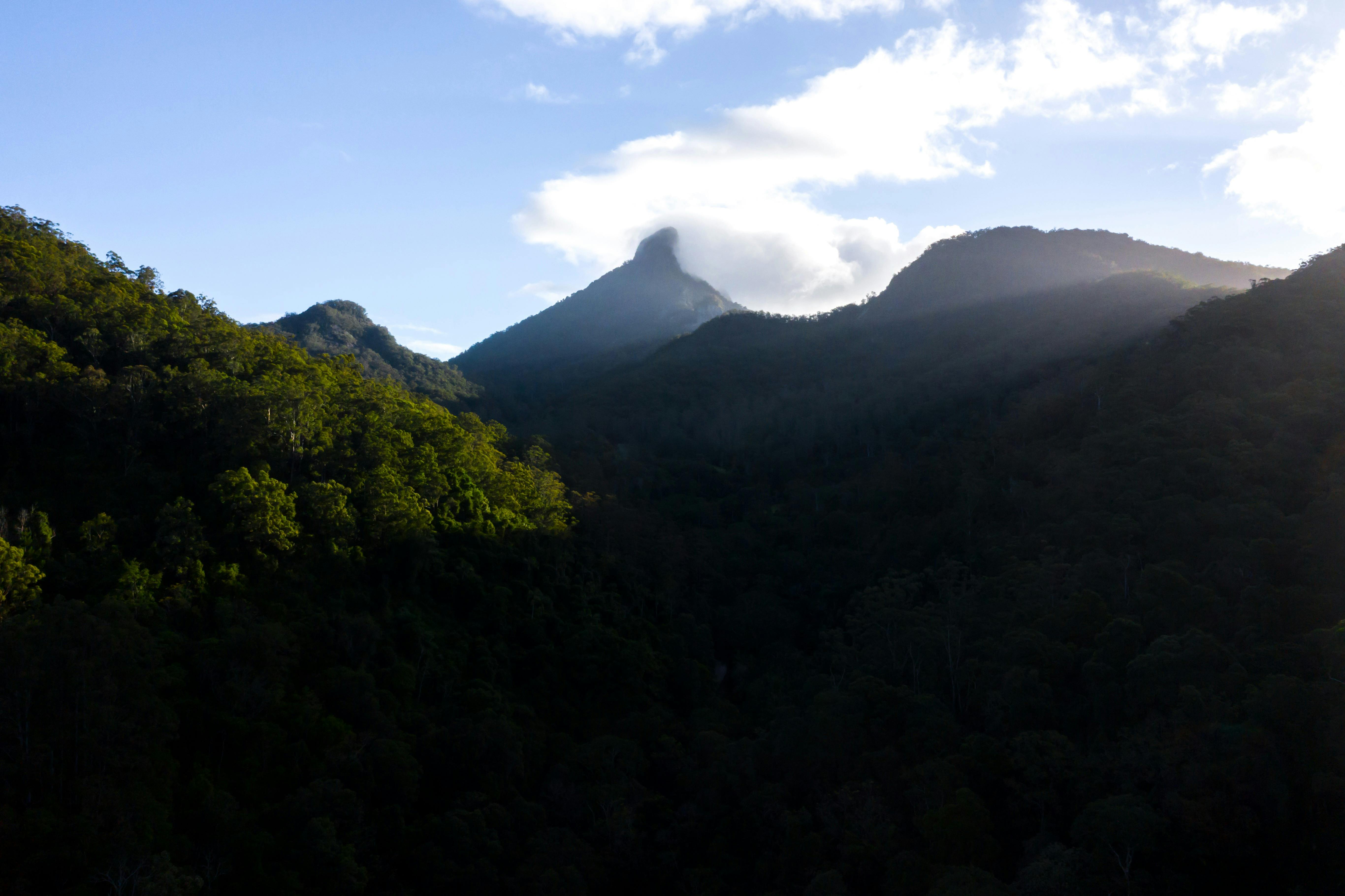 Wollumbin Mount Warning