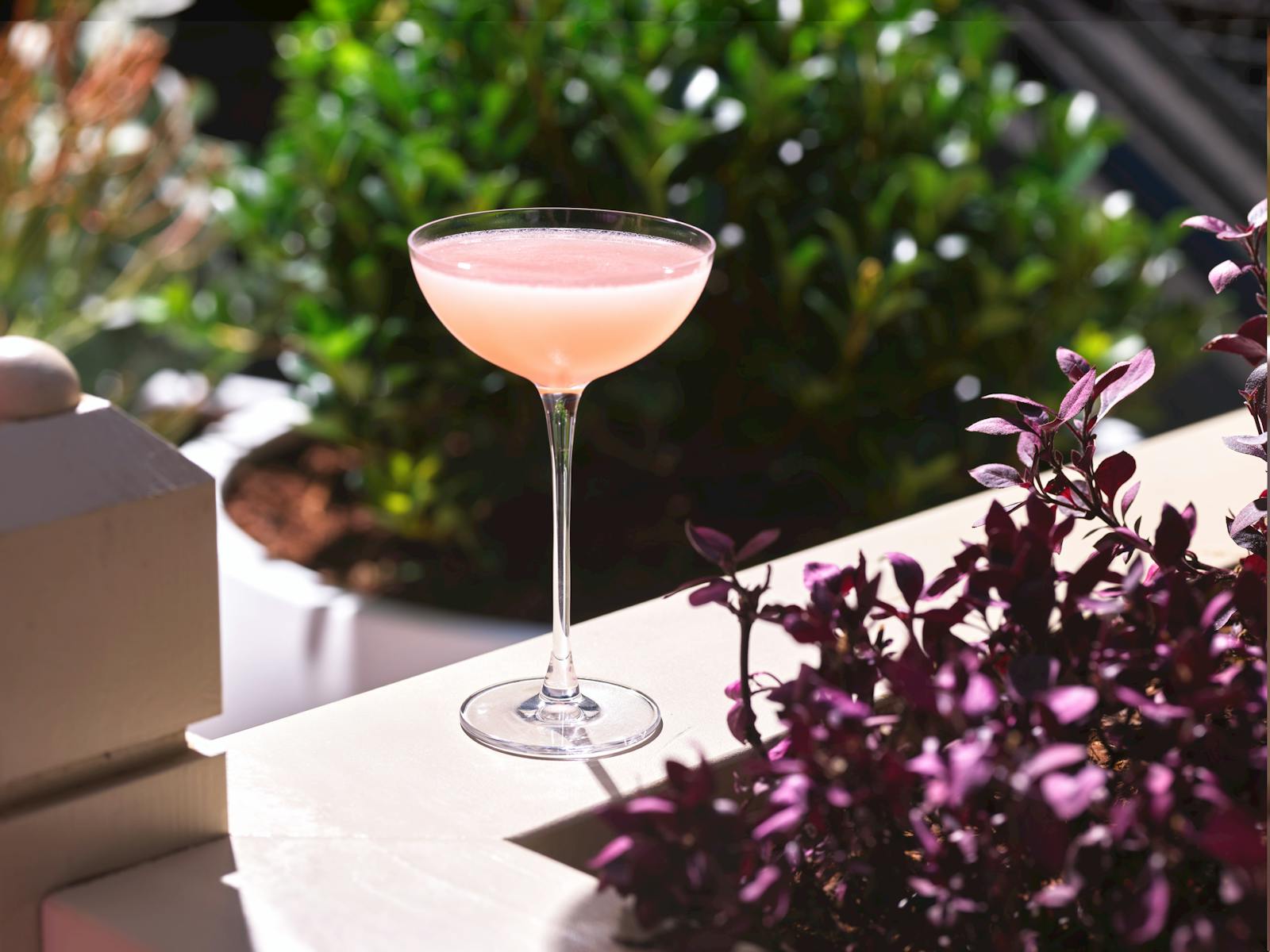 Guava Cocktail The Garden