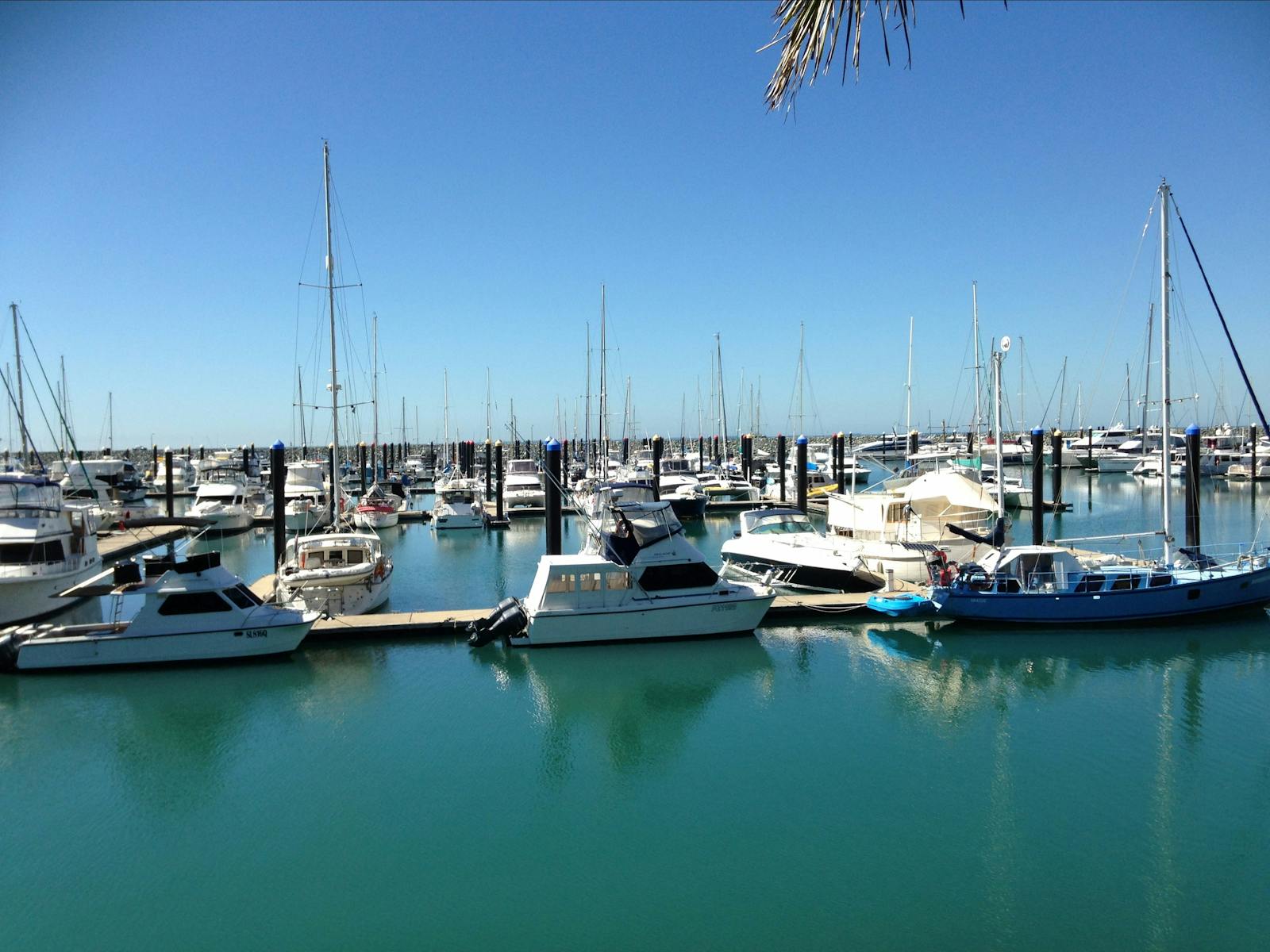 Boats moored in Mackay Marina